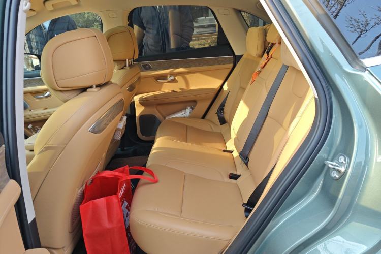 Used Hima AITO M5 2022 Extended-Range Four-Wheel Drive Ultimate Edition Left Rear Seat