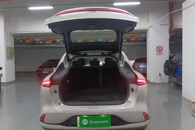 Used IM LS6 2023 Max Long-Range Version
