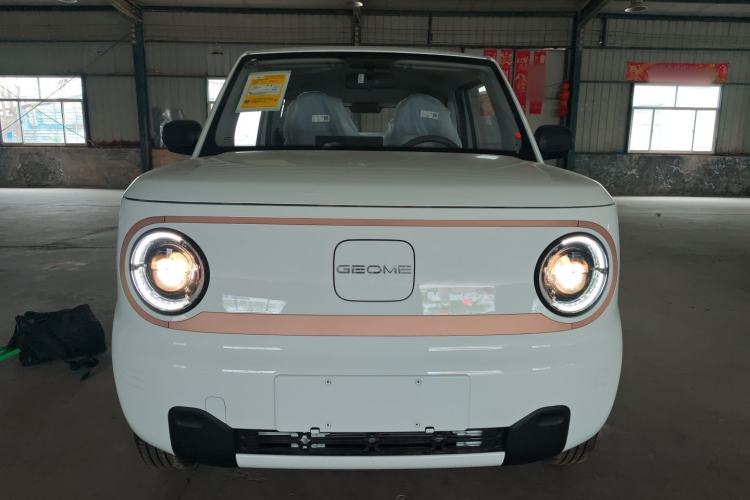 Used Geely Galaxy Panda 2024 Panda Mini 200km Endurance Bear Front