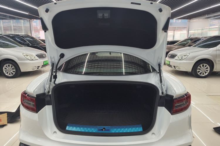 Used NETA GT 2023 560