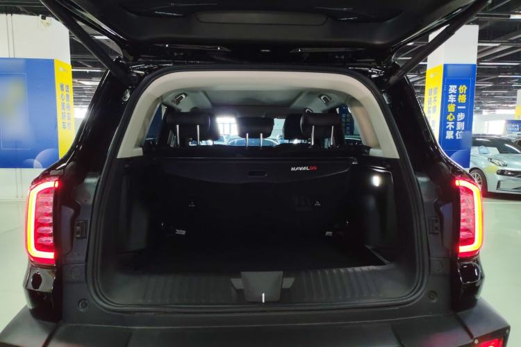 Used Haval DARGO 2024 2.0T DCT Chinese Rural Dog Edition Trunk