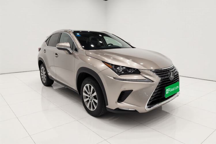 Used Lexus NX 2020 200 All-Wheel Drive Fēngshàng Version China VI Standard Exterior 1