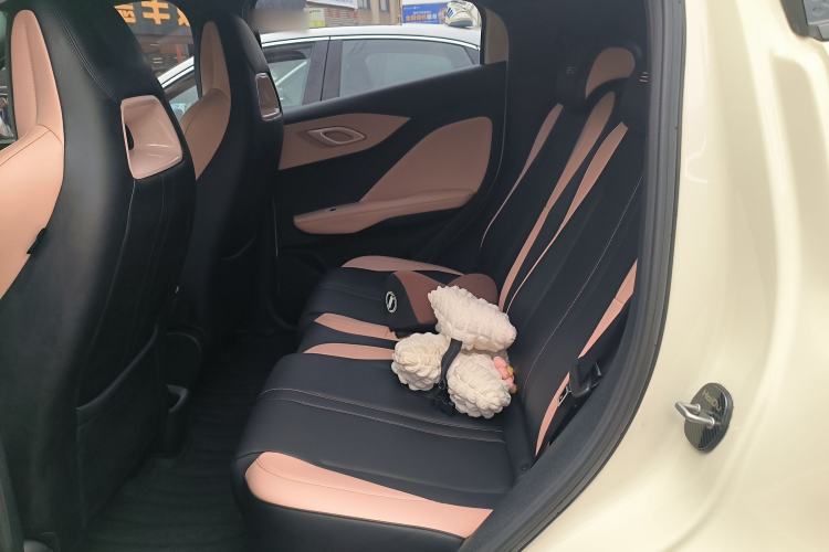 Used BYD Seagull 2023 Flying Edition Left Rear Seat