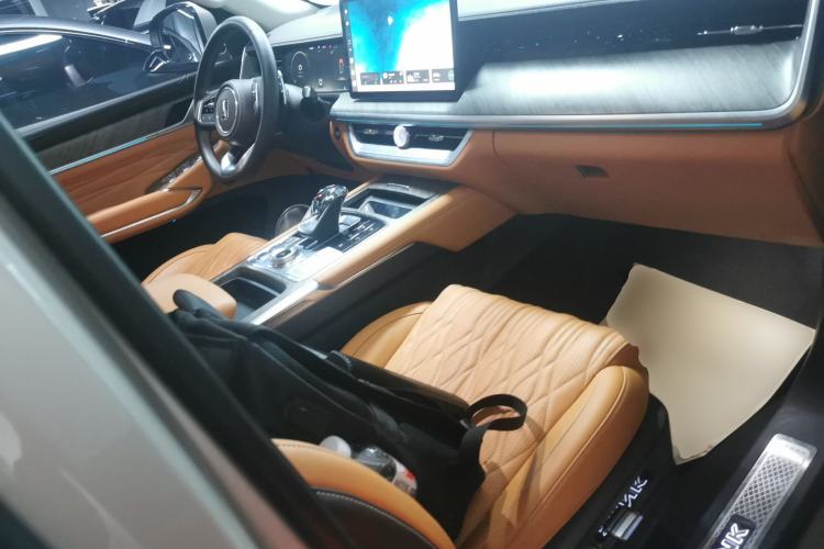 Used Tank 500 2023 3.0T Business Edition "Creation" Style 5 Seats Right Front Seat