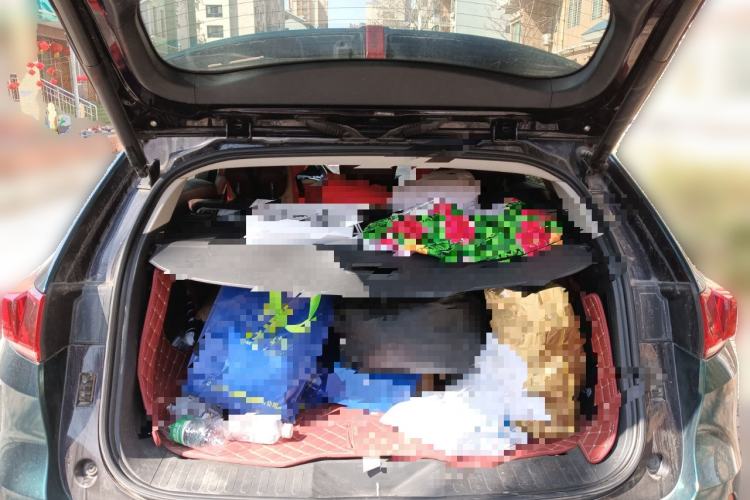 Used Wey VV7 2017 2.0T Flagship Model
