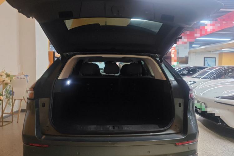 Used Chery Fengyun T10 2024 210 Luxury Edition