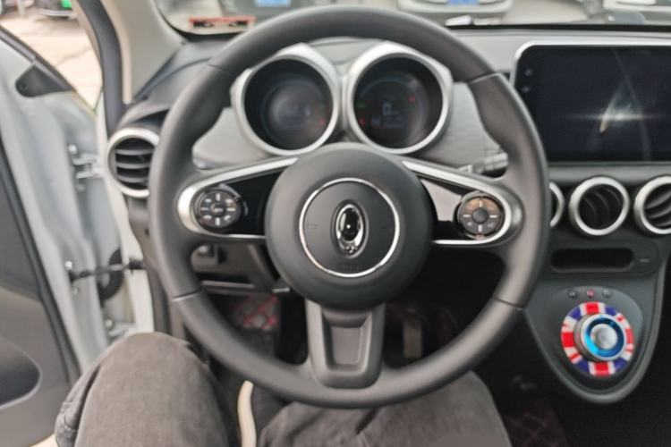 Used ORA Black Cat 2019 351 km Goddess Edition
