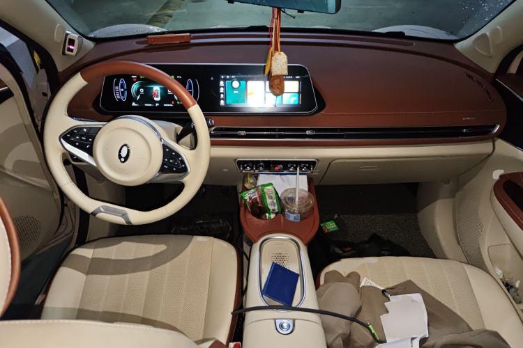 Used ORA Good Cat 2023 401 km Standard Range Premium Version Lithium Iron Phosphate
