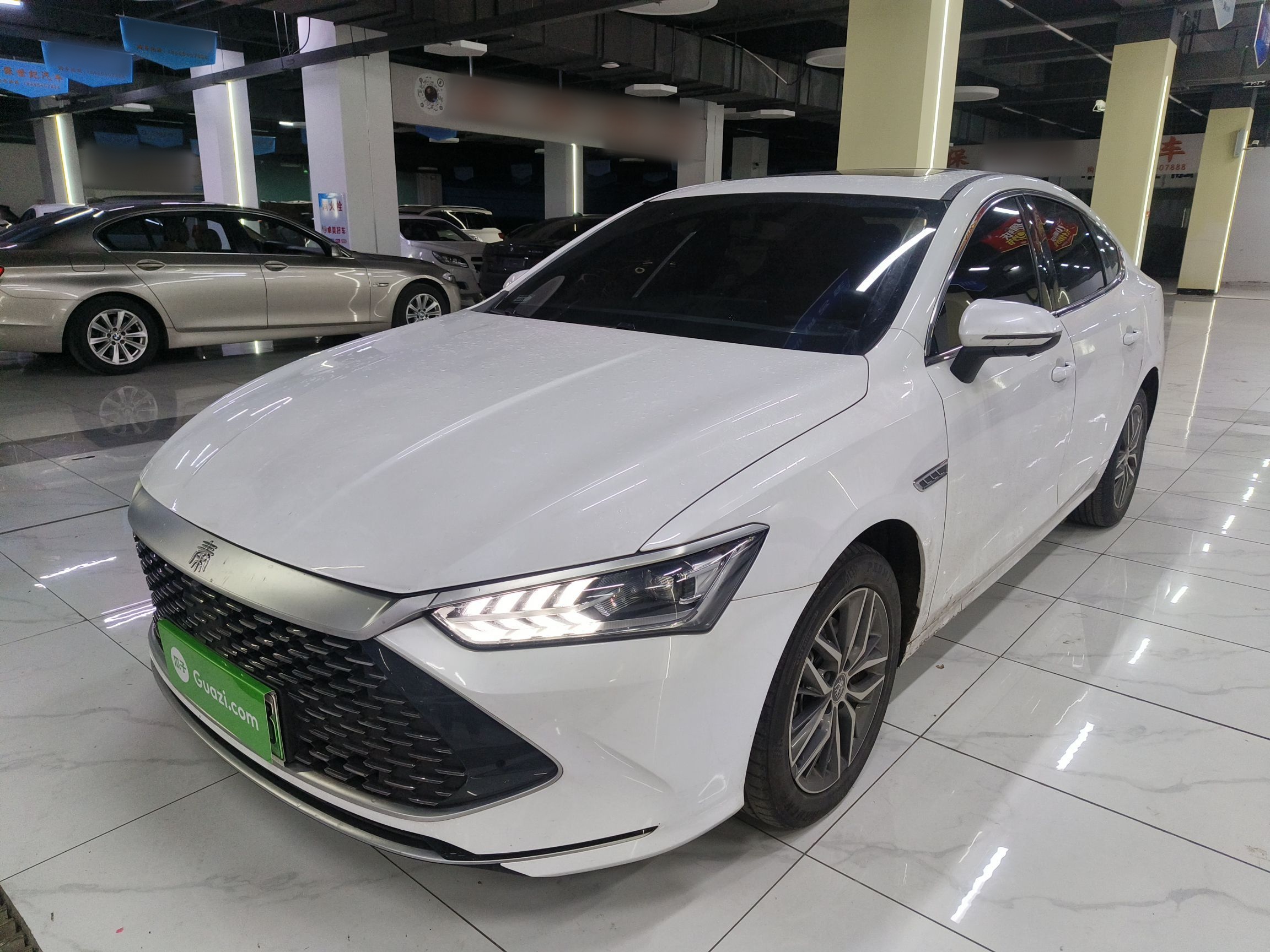 Parte inferior delantera