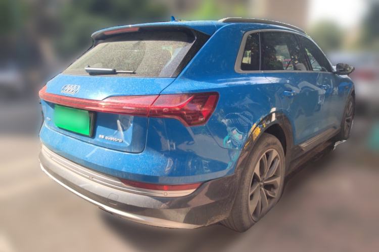 Used Audi e-tron 2019 55 quattro Global Limited Edition Edition 1 Rear Right 45 Deg