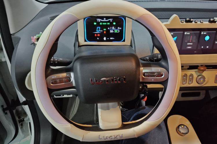 Used Qiyuan Lumin 2023 205km Xiangqin Version
