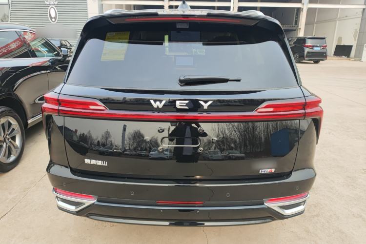 Used Wey Lanshan 2023 Four-Wheel Drive Ultra-Long Range Version