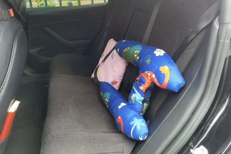 Used Tesla Model 3 2021 Revised Version Standard Range Rear-Wheel Drive Upgraded Edition 3D1