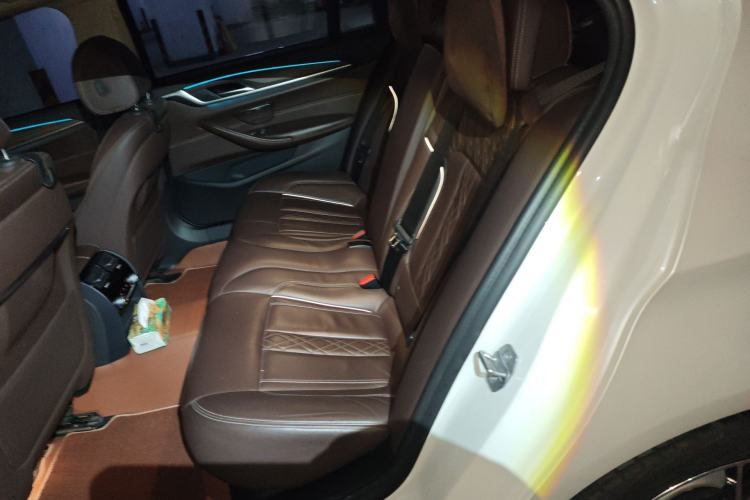 Used BMW 5 Series New Energy 2019 530Le Luxury Package Left Rear Seat