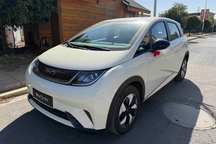Used BYD Dolphin 2025 420km Free Edition