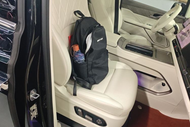 Used Wey Gaoshan 2025 Four-Wheel Drive Alpine 9 Right Front Seat