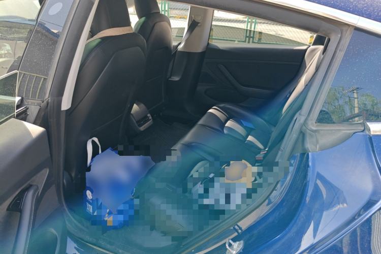 Used Tesla Model 3 2020 Standard Range Rear-Wheel Drive Upgraded Version Left Rear Seat