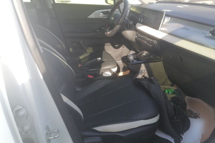 Used Geometry E Firefly 2022 320KM Cute Tiger 4-Seater