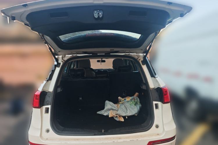 Used Haval H6 Coupe 2018 Blue Label 1.5T Automatic Two-Wheel Drive Luxury Model