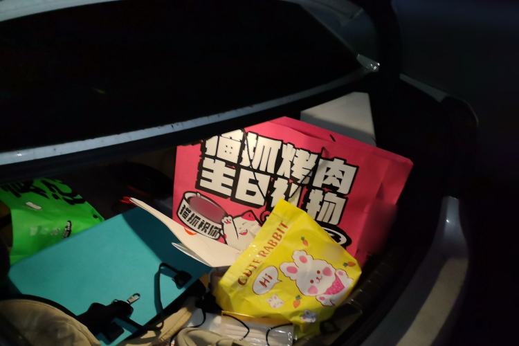 Used BMW 3 Series 2017 318Li Fashion Model Trunk