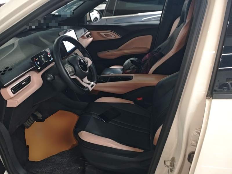 Used BYD Seagull 2023 Free Edition — 14