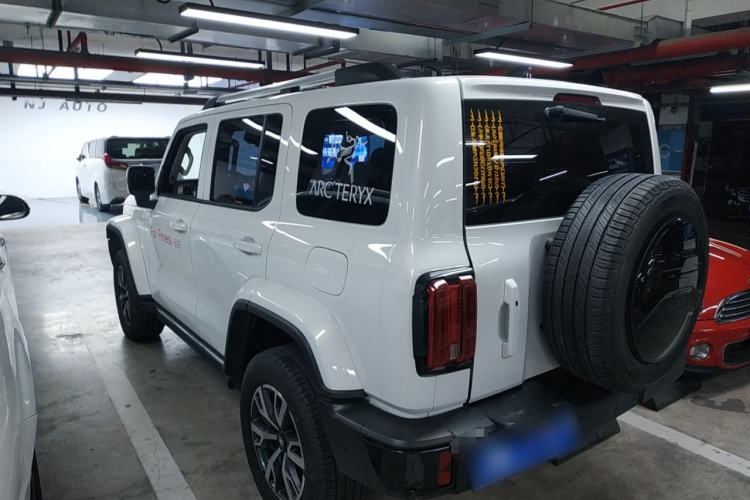 Used Tank 300 2024 2.0T Crosser
