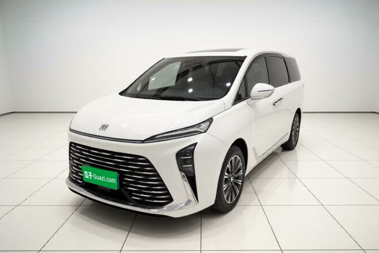 Used Buick GL8 2025 Lu Zun Smart Enjoyment Edition