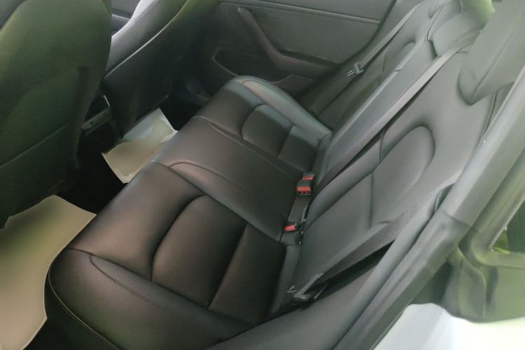 Used Tesla Model 3 2019 Long-Range Rear-Wheel-Drive Version Left Rear Seat