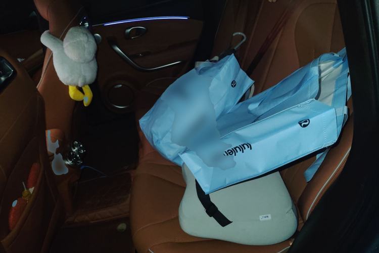 Used ORA Lightning Cat 2022 555 km Luxury Edition