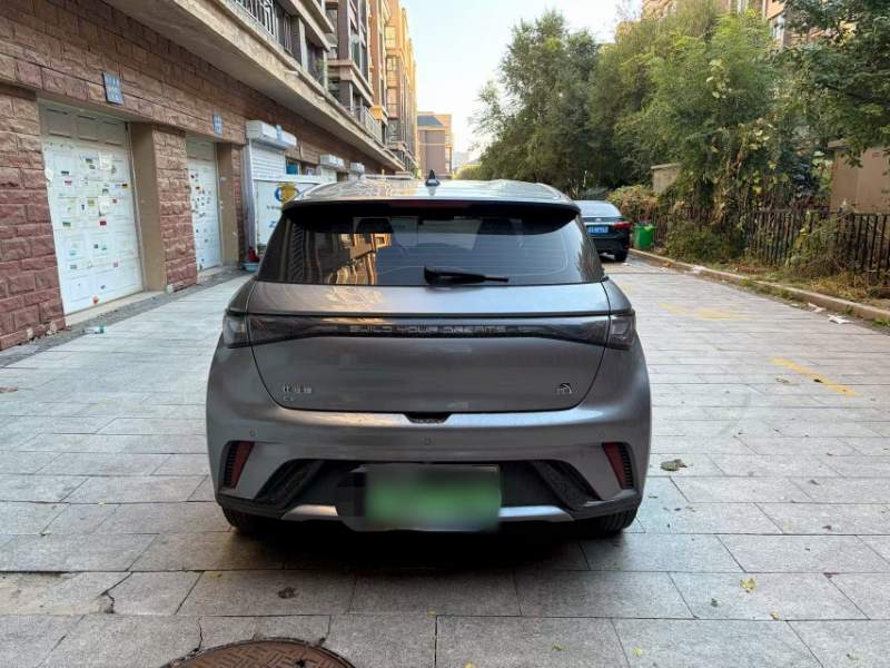 Used BYD Dolphin 2023 420 km Free Version — 12