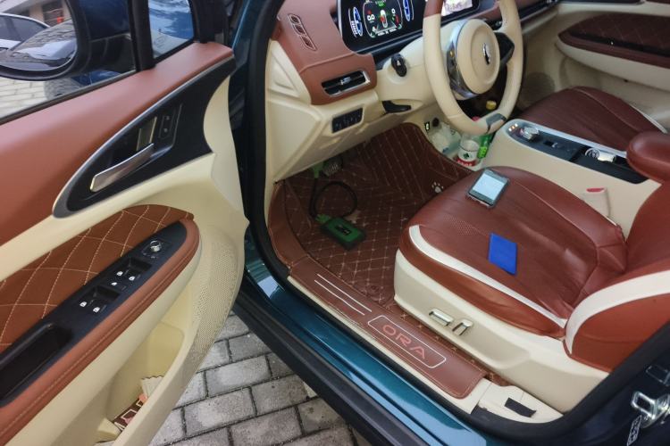 Used ORA Good Cat 2022 Morandi Edition 400km Standard Range Luxury Version Lithium Iron Phosphate Driver Seat