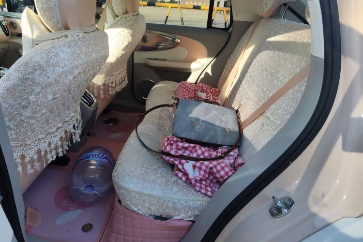 Used ORA Ballet Cat 2023 401 km Luxury Version
