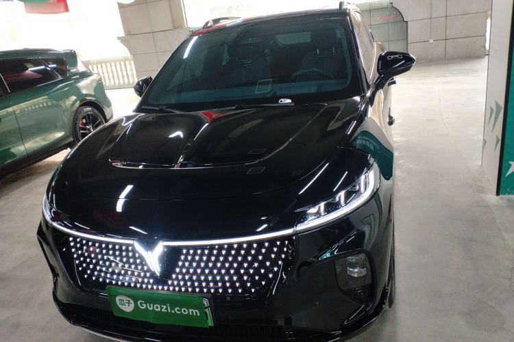 Used VOYAH COURAGE 2024 Four-Wheel Drive Global Edition
