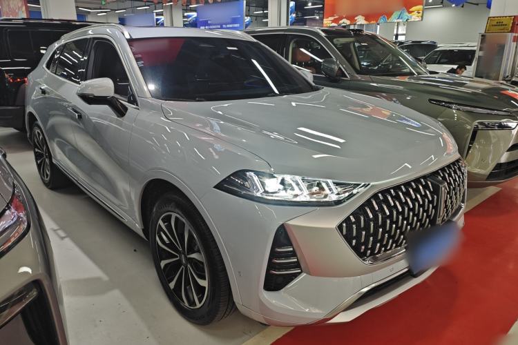 Used Wey Mocha 2021 2.0T Four-Wheel Drive Premium Edition
