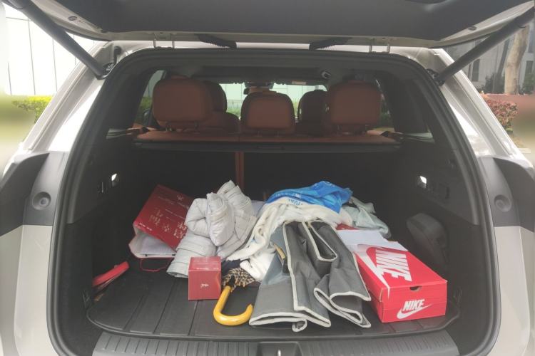 Used Li Auto L6 2024 Max
