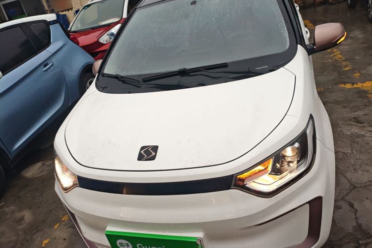 Used SOL E10X 2022 Flower Fairy Design Four-Leaf Clover Exterior 1