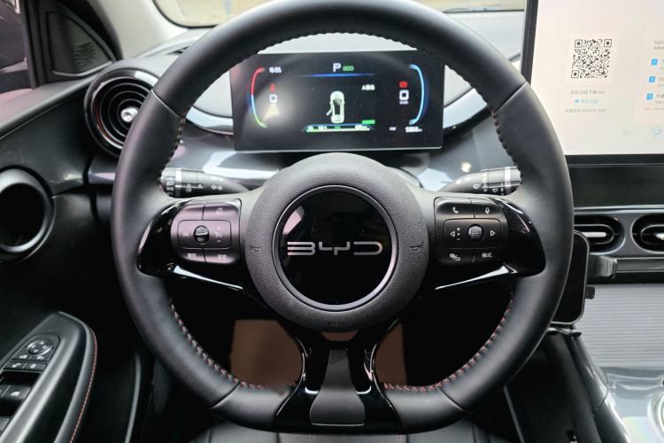 Used BYD e2 2023 Luxury Model
