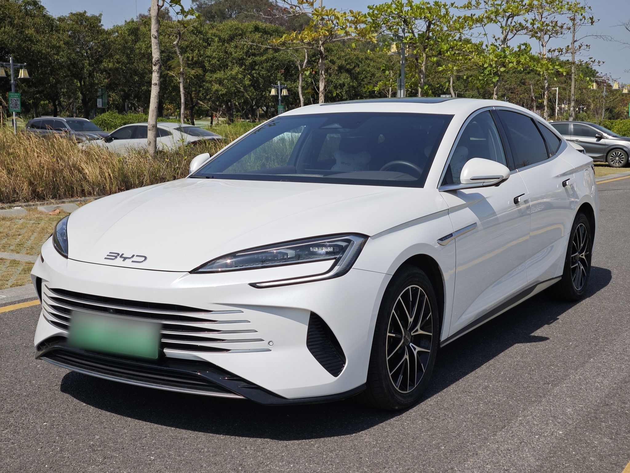 Parte inferior delantera