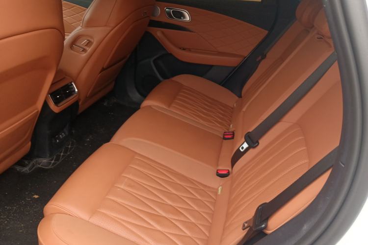 Used NETA L 2024 Range-Extended 220 Luxury Edition Left Rear Seat