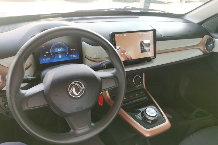 Used Dongfeng NAMMI EX1 2023 PRO Light Wind Edition Lightning Model