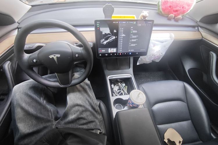 Used Tesla Model 3 2021 Standard Range Rear-Drive Upgraded Version
