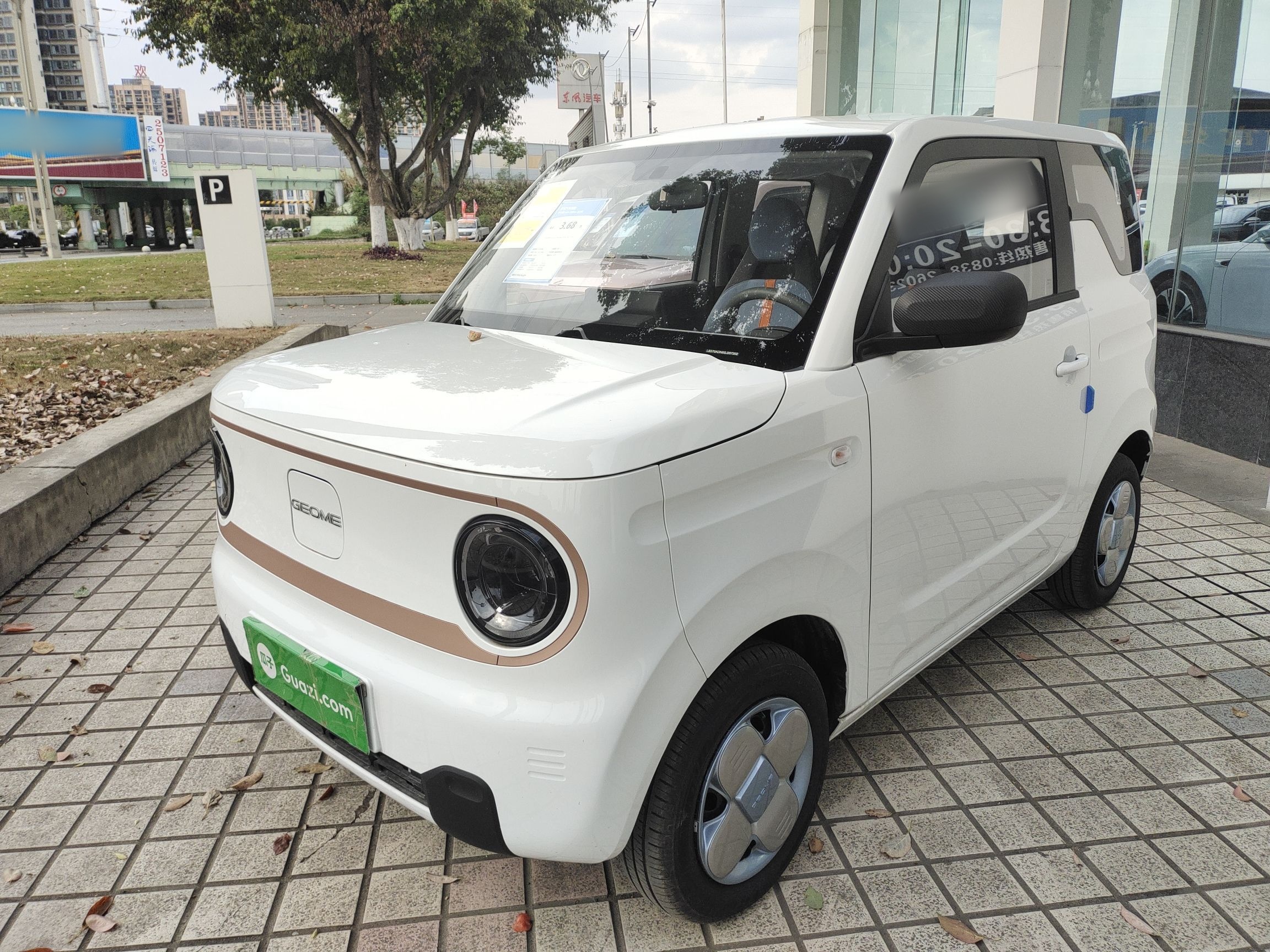 Parte inferior delantera