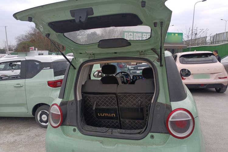 Used Qiyuan Lumin 2022 301km Honey-Sweet Version
