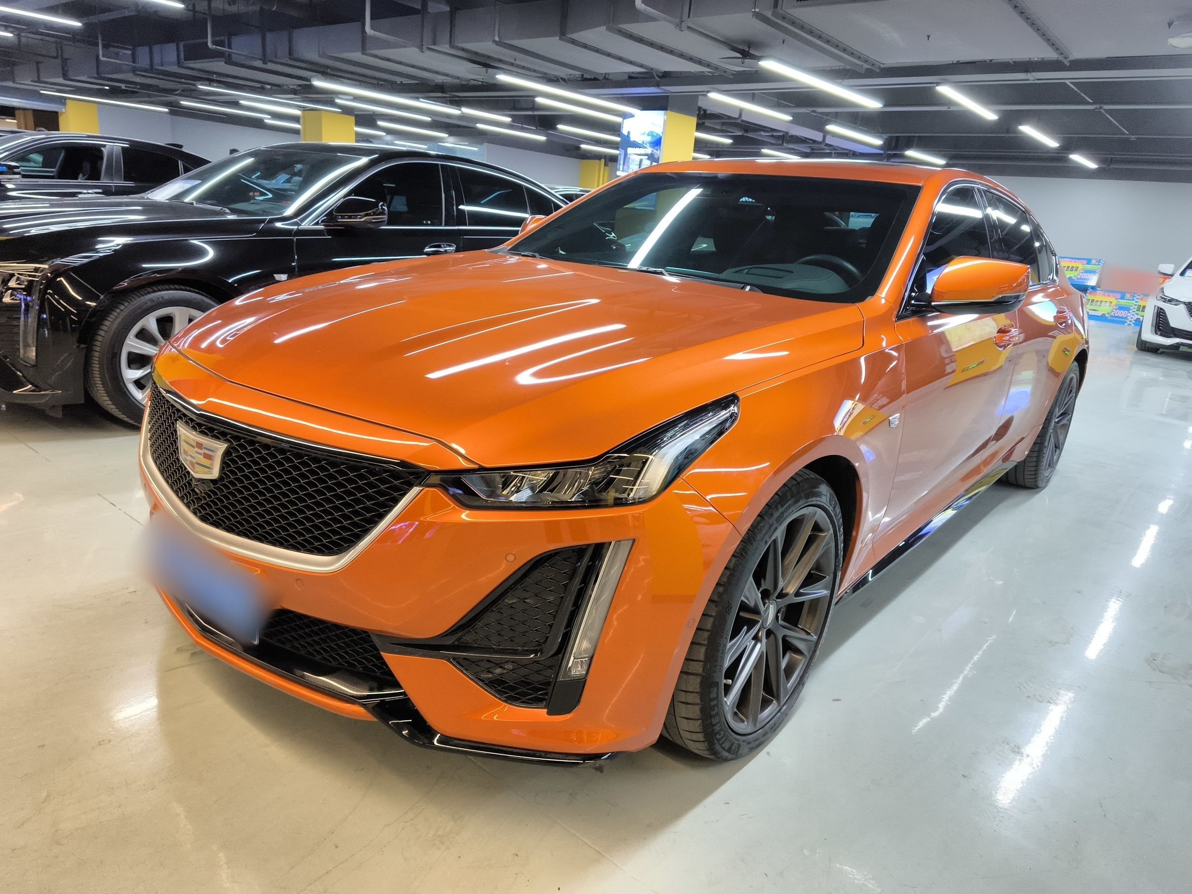 Parte inferior delantera