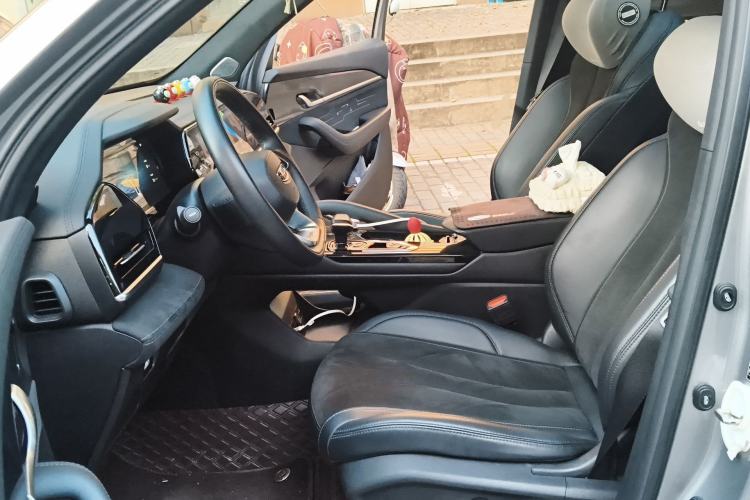 Used Geely Auto Monjaro L 2024 2.0TD High-Power Automatic Two-Wheel Drive Skyline Edition
