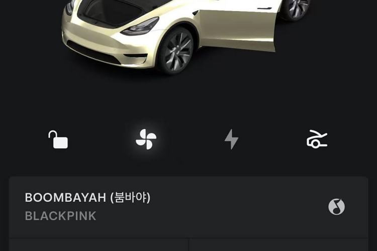 Used Tesla Model Y 2022 Rear-Wheel-Drive Version
