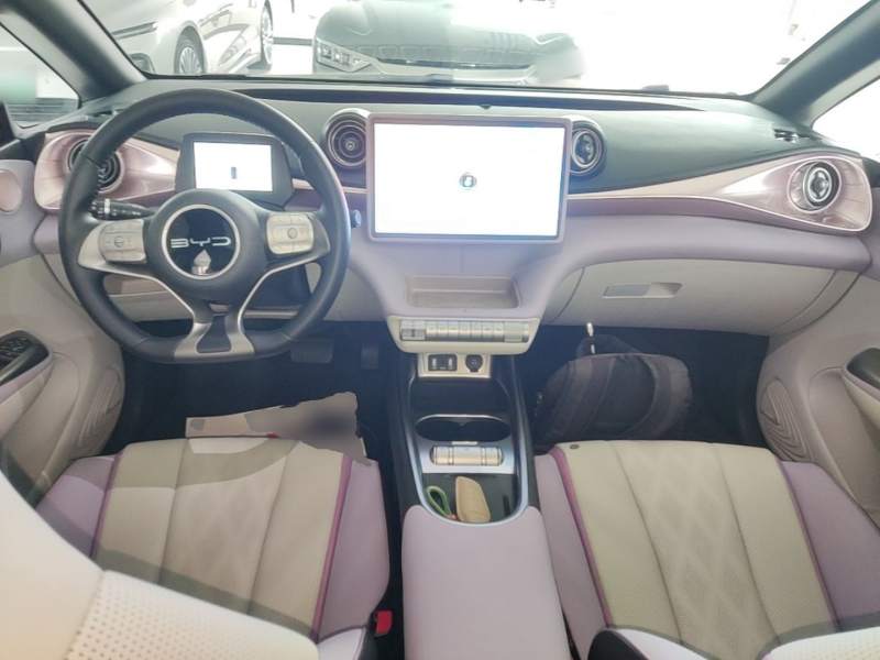Used BYD Dolphin 2023 401km Knight Edition — 9