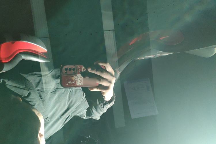 Used Audi RS 5 2020 RS 5 2.9T Sportback
