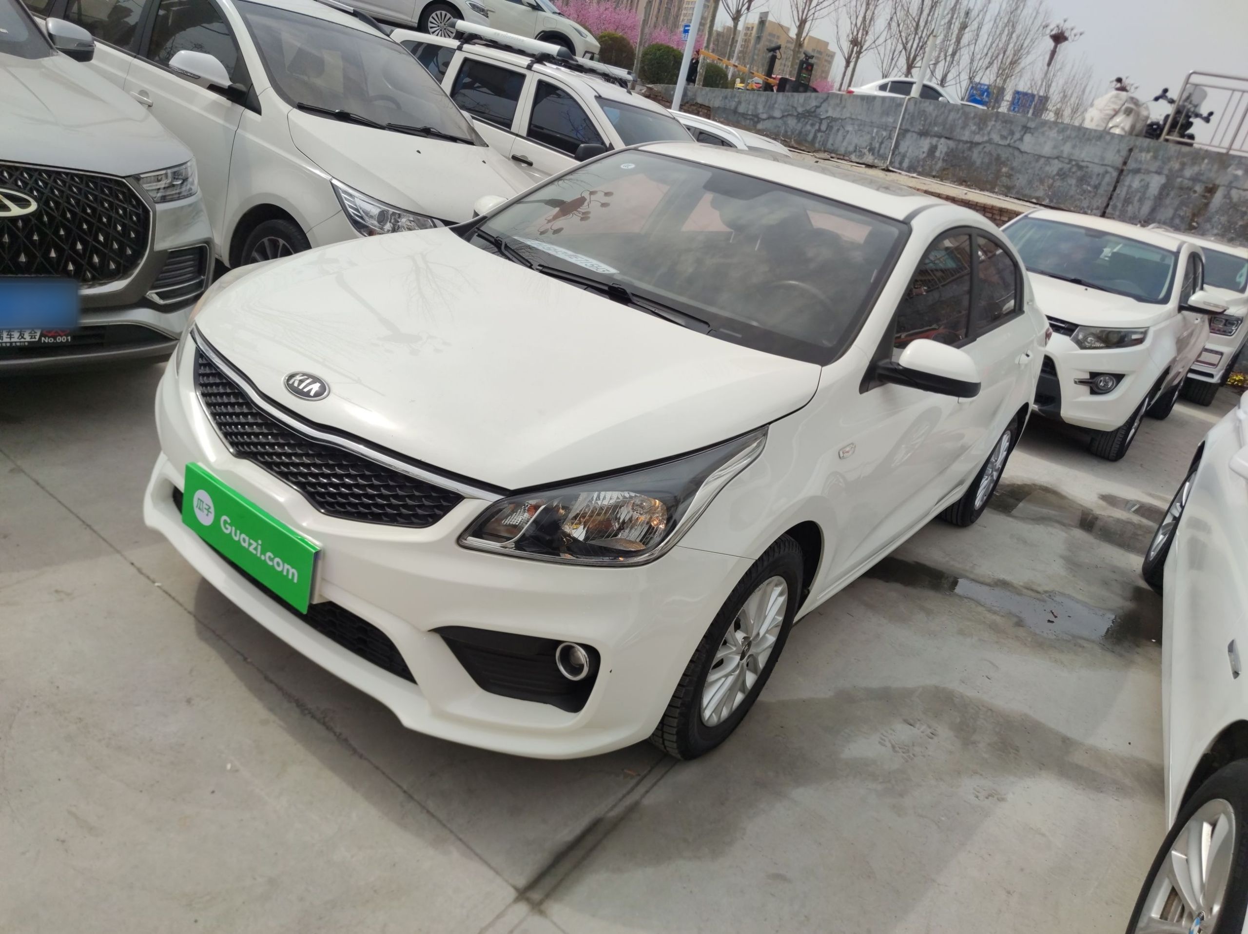 Parte inferior delantera