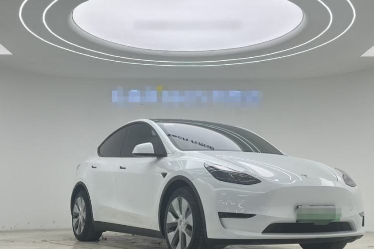 Used Tesla Model Y 2021 Standard Range Rear-Wheel Drive Version
